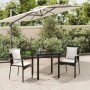 Set comedor de jardín 3 pzas con cojines ratán sintético negro de , Conjuntos de jardín - Ref: Foro24-3185107, Precio: 192,05...