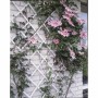 Nature Enrejado de jardín 100x200 cm PVC blanco 6040703 de , Pérgolas, arcos y enrejados de jardín - Ref: Foro24-409350, Prec...