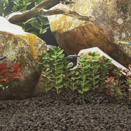 Rocas volcánicas negras 10 kg 1-2 cm de , Decoración de acuarios - Ref: Foro24-155317, Precio: 41,82 €, Descuento: %