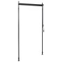 Estor enrollable de exterior gris antracita 100x270 cm de , Toldos - Ref: Foro24-145935, Precio: 55,68 €, Descuento: %