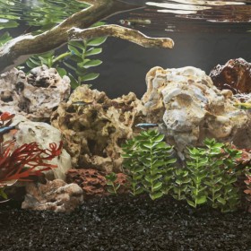 Piedras de dragón marrón 10 kg 5-30 cm de , Decoración de acuarios - Ref: Foro24-3217166, Precio: 40,03 €, Descuento: %