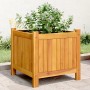 Jardinera con forro madera maciza de acacia 42x42x40 cm de , Maceteros y jardineras - Ref: Foro24-366434, Precio: 60,50 €, De...