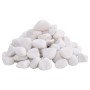 Guijarros pulidos blancos 10 kg 2-5 cm de , Decoración de acuarios - Ref: Foro24-155329, Precio: 45,68 €, Descuento: %