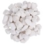 Guijarros pulidos blancos 10 kg 2-5 cm de , Decoración de acuarios - Ref: Foro24-155329, Precio: 45,68 €, Descuento: %