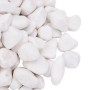 Guijarros pulidos blancos 10 kg 2-5 cm de , Decoración de acuarios - Ref: Foro24-155329, Precio: 45,68 €, Descuento: %