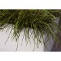 Capi Jardinera rectangular Arc Granite marfil 90x35x40 cm de , Maceteros y jardineras - Ref: Foro24-442114, Precio: 189,92 €,...