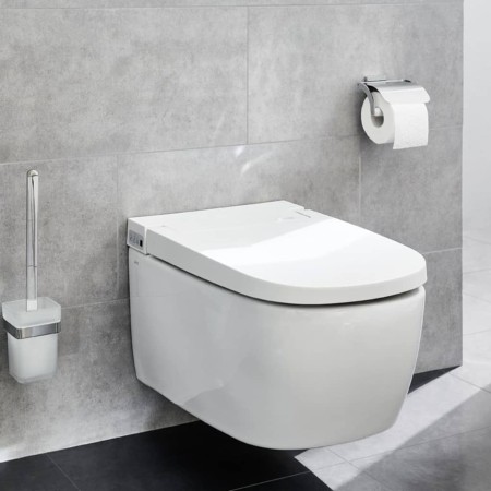 Kleine Wolke Portarrollo de papel higiénico con tapa Meo plateado de , Portarrollos - Ref: Foro24-442308, Precio: 43,90 €, De...