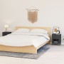 Mesitas de noche 2 uds acero y cristal antracita 40x30x54,5 cm de , Mesitas de noche - Ref: Foro24-3095204, Precio: 183,07 €,...