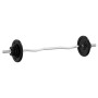 Juego de barra con discos 30 kg hierro fundido y acero cromado de , Peso libre - Ref: Foro24-93628, Precio: 132,08 €, Descuen...