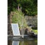 Ubbink Conjunto SolarMax 600 con panel solar y bomba 1351181 de , Accesorios para estanques y fuentes - Ref: Foro24-403739, P...