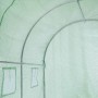 Nature Invernadero verde 3,5x2x2 m de , Invernaderos - Ref: Foro24-423488, Precio: 273,40 €, Descuento: %