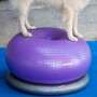 FitPAWS Pelota de equilibrio para mascotas TRAX Donut morado 55 cm de , Equipos para el ejercicio de mascotas - Ref: Foro24-4...