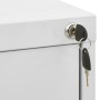Armario archivador de acero gris claro 46x62x164 cm de , Armarios archivadores - Ref: Foro24-336283, Precio: 399,17 €, Descue...