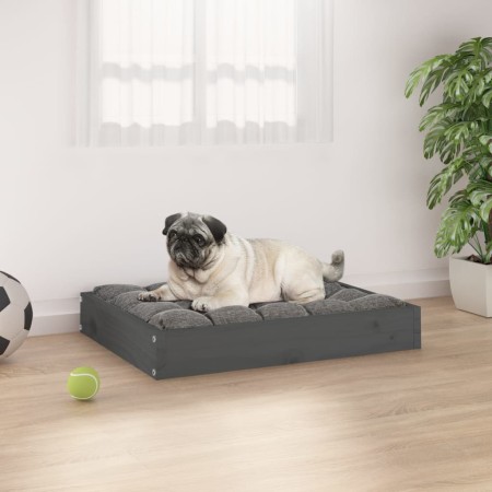 Cama para perros madera maciza de pino gris 61,5x49x9 cm de , Camas para perros - Ref: Foro24-820853, Precio: 21,86 €, Descue...