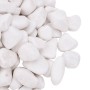 Guijarros pulidos blancos 10 kg 2-5 cm de , Decoración de acuarios - Ref: Foro24-3217192, Precio: 48,63 €, Descuento: %
