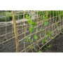 Nature Malla para plantas enredaderas yute natural 1,8x5 m de , Accesorios de jardinería - Ref: Foro24-447515, Precio: 27,81 ...