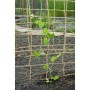 Nature Malla para plantas enredaderas yute natural 1,8x5 m de , Accesorios de jardinería - Ref: Foro24-447515, Precio: 27,81 ...