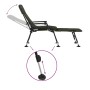 Tumbona de pesca con patas para barro ajustable plegable verde de , Camas para exteriores - Ref: Foro24-4006420, Precio: 177,...