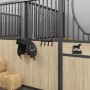 Perchero colgador de bridas con 4 ganchos acero negro de , Accesorios para riendas de caballos - Ref: Foro24-172461, Precio: ...