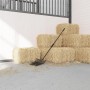 Horquilla de rastrillo con 14 púas de acero negro de , Cría de animales - Ref: Foro24-3209562, Precio: 36,99 €, Descuento: %