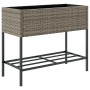 Jardinera con estante ratán sintético gris de , Maceteros y jardineras - Ref: Foro24-366386, Precio: 84,85 €, Descuento: %
