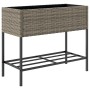 Jardineras con estante 2 uds ratán sintético gris 90x40x75 cm de , Maceteros y jardineras - Ref: Foro24-3210509, Precio: 158,...