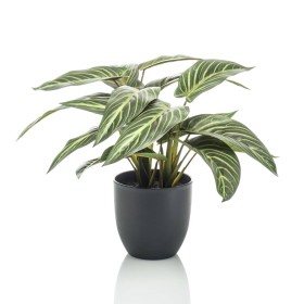 Emerald Calathea artificial Zebrina en maceta 38 cm de , Flora artificial - Ref: Foro24-444640, Precio: 38,91 €, Descuento: %