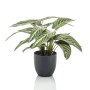 Emerald Calathea artificial Zebrina en maceta 38 cm de , Flora artificial - Ref: Foro24-444640, Precio: 38,91 €, Descuento: %