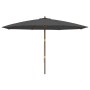 Sombrilla jardín con poste de madera gris antracita 400x273 cm de , Sombrillas - Ref: Foro24-363177, Precio: 151,44 €, Descue...