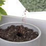 Smartwares Lámpara de cultivo para jardín LED 9W blanco de , Lámparas - Ref: Foro24-444944, Precio: 32,36 €, Descuento: %