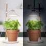 Smartwares Lámpara de cultivo para jardín LED 9W blanco de , Lámparas - Ref: Foro24-444944, Precio: 32,36 €, Descuento: %