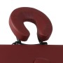 Mesa camilla de masaje de madera plegable de dos cuerpos rojos de , Mesas de masaje - Ref: Foro24-110076, Precio: 133,74 €, D...