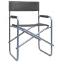 Sillas de director 2 unidades acero gris de , Sillas de jardín - Ref: Foro24-47920, Precio: 98,75 €, Descuento: %