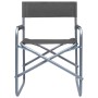 Sillas de director 2 unidades acero gris de , Sillas de jardín - Ref: Foro24-47920, Precio: 98,75 €, Descuento: %