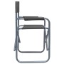 Sillas de director 2 unidades acero gris de , Sillas de jardín - Ref: Foro24-47920, Precio: 98,75 €, Descuento: %