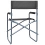 Sillas de director 2 unidades acero gris de , Sillas de jardín - Ref: Foro24-47920, Precio: 98,75 €, Descuento: %