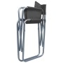 Sillas de director 2 unidades acero gris de , Sillas de jardín - Ref: Foro24-47920, Precio: 98,75 €, Descuento: %