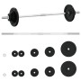 Juego de barra con discos 30 kg hierro fundido de , Peso libre - Ref: Foro24-93627, Precio: 127,16 €, Descuento: %