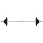 Juego de barra con discos 30 kg hierro fundido de , Peso libre - Ref: Foro24-93627, Precio: 127,16 €, Descuento: %