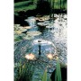 Ubbink Bomba de fuente estanque Elimax 500 1351300 de , Accesorios para estanques y fuentes - Ref: Foro24-403741, Precio: 55,...