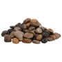 Guijarros pulidos colores mezclados 10 kg 2-5 cm de , Decoración de acuarios - Ref: Foro24-3217194, Precio: 34,01 €, Descuent...
