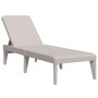 Tumbona de PP capuchino 186x60x29 cm de , Tumbonas - Ref: Foro24-364216, Precio: 114,56 €, Descuento: %