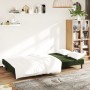 Sofá cama de 2 plazas terciopelo verde oscuro de , Sofás - Ref: Foro24-375734, Precio: 231,59 €, Descuento: %