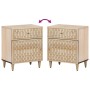 Mesita de noche madera maciza de mango 50x33x60 cm de , Mesitas de noche - Ref: Foro24-358256, Precio: 71,64 €, Descuento: %