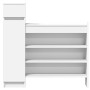 Mueble zapatero madera de ingeniería blanco 100,5x28x100 cm de , Zapateros y organizadores de calzado - Ref: Foro24-840422, P...