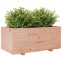 Jardinera madera maciza de abeto Douglas 110x60x49,5 cm de , Maceteros y jardineras - Ref: Foro24-3282572, Precio: 197,06 €, ...