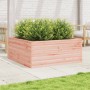 Jardinera madera maciza de abeto Douglas 110x110x46 cm de , Maceteros y jardineras - Ref: Foro24-3282437, Precio: 216,28 €, D...