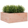 Jardinera madera maciza de abeto Douglas 110x110x46 cm de , Maceteros y jardineras - Ref: Foro24-3282437, Precio: 216,28 €, D...