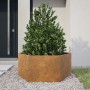 Jardinera hexagonal 104x90x45 cm acero desgastado de , Maceteros y jardineras - Ref: Foro24-851135, Precio: 76,92 €, Descuent...