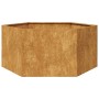 Jardinera hexagonal 104x90x45 cm acero desgastado de , Maceteros y jardineras - Ref: Foro24-851135, Precio: 76,92 €, Descuent...